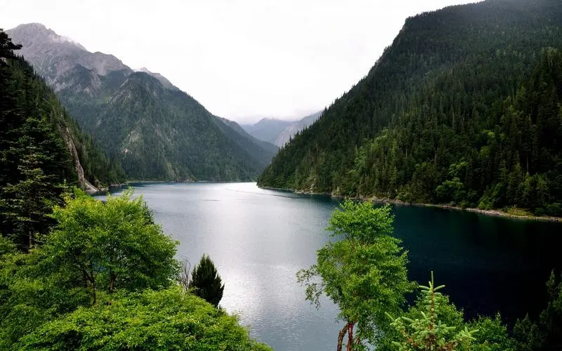 自动化新型智慧制造